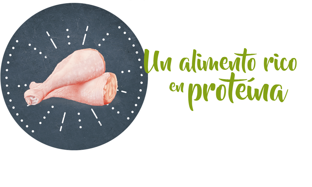 Un alimento rico en proteina