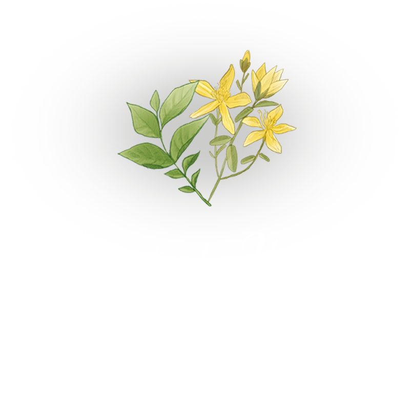 Extracto de Hierbas