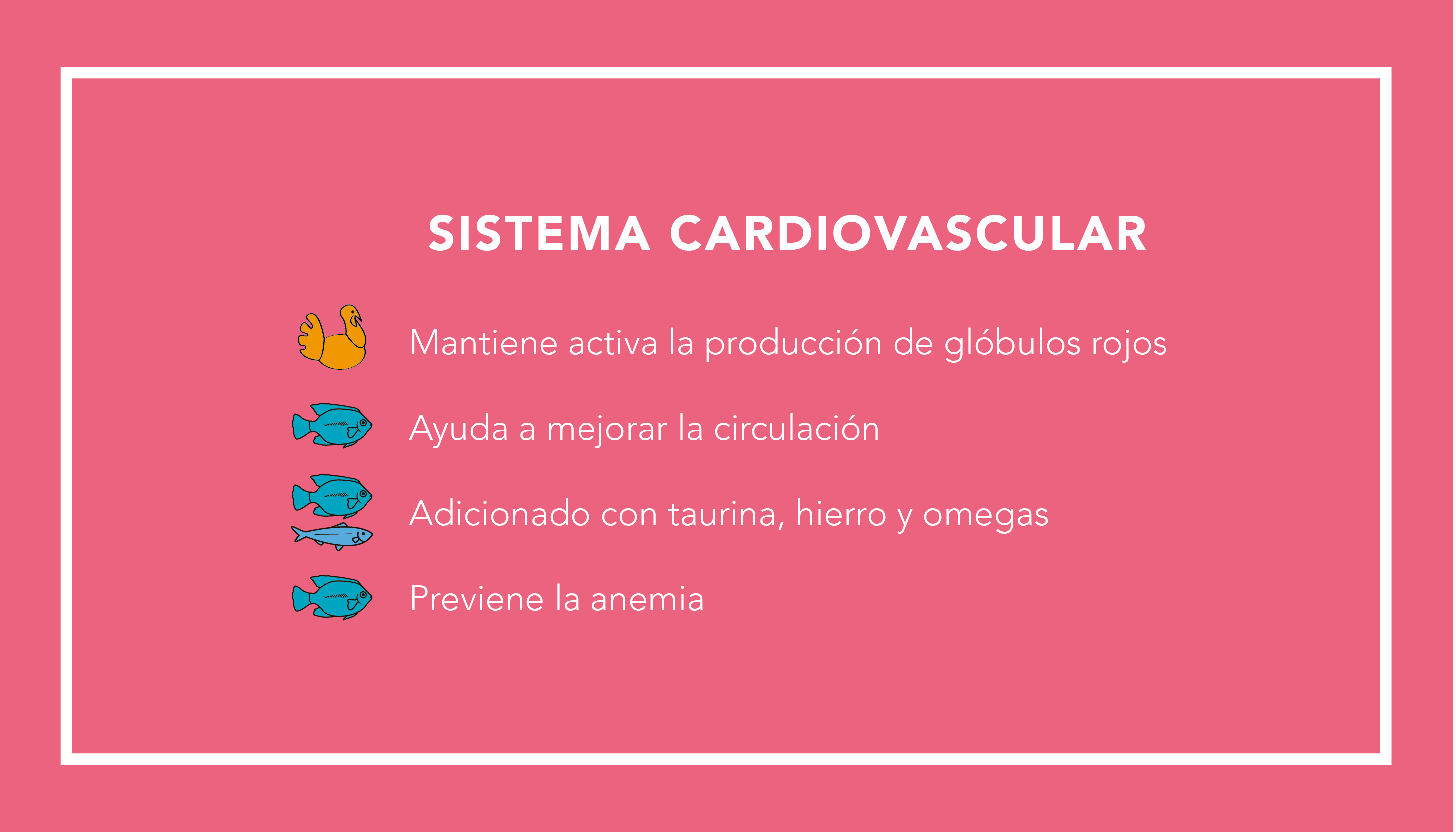 Sistema Cardiovascular