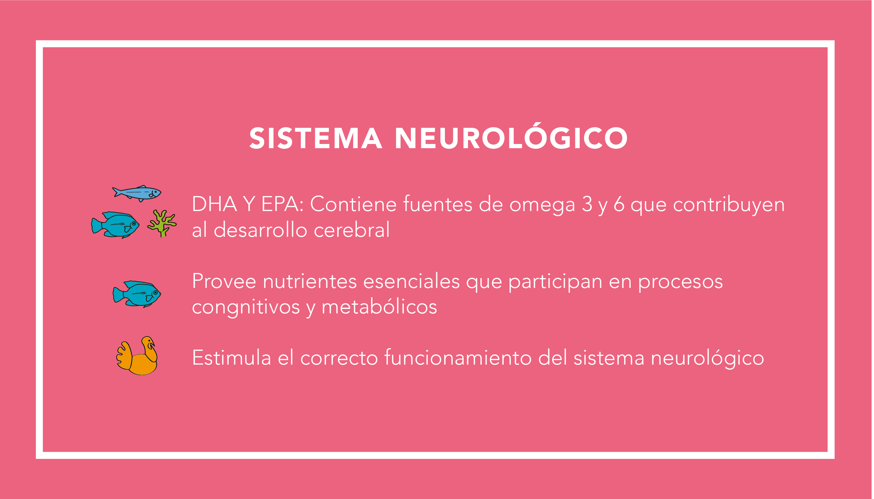 Sistema Neurológico