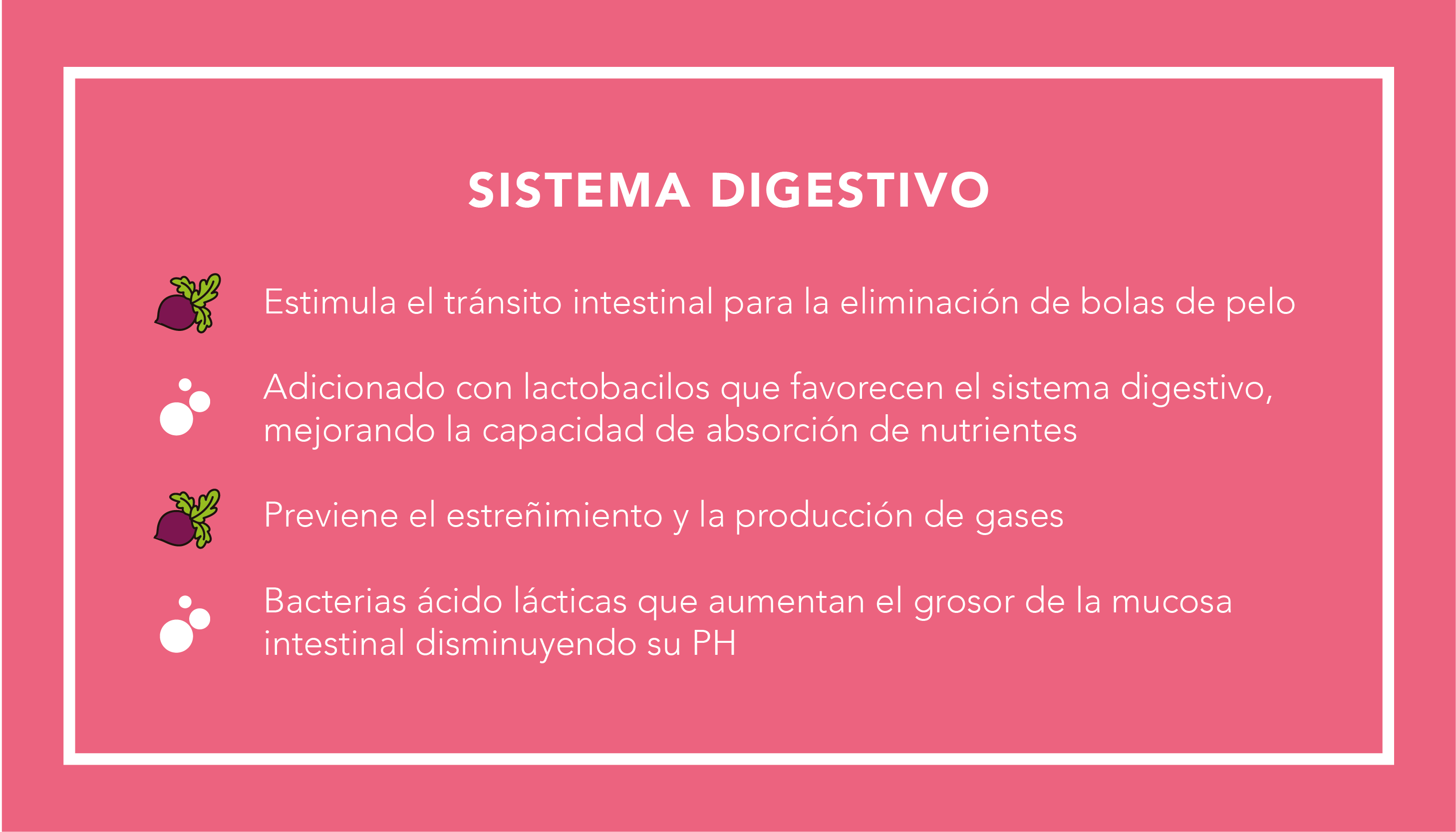Sistema Digestivo