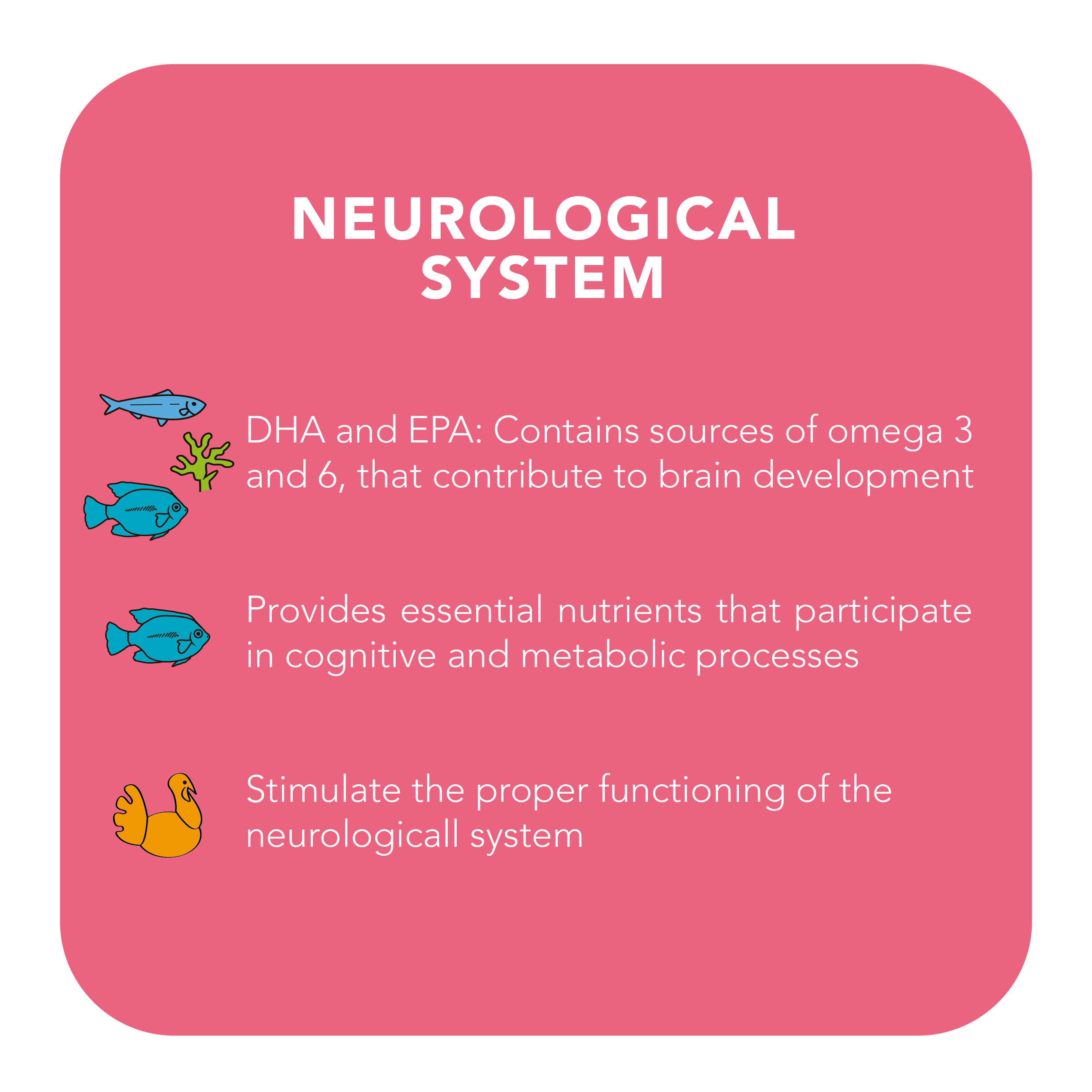 Neurological System