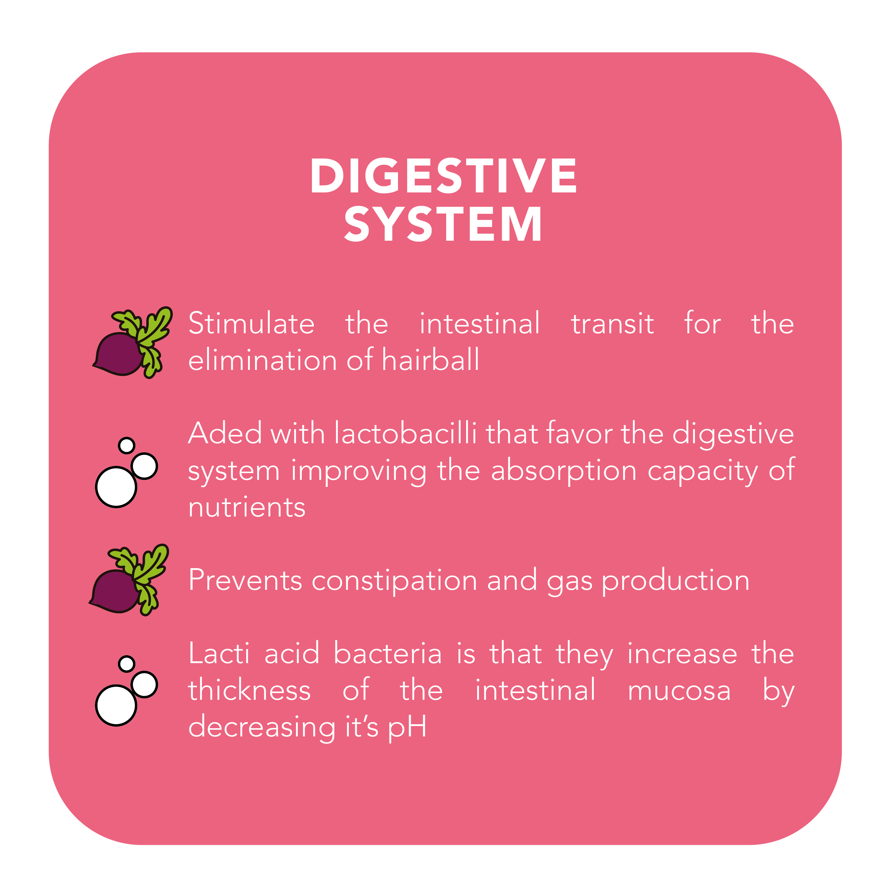 Digestive System