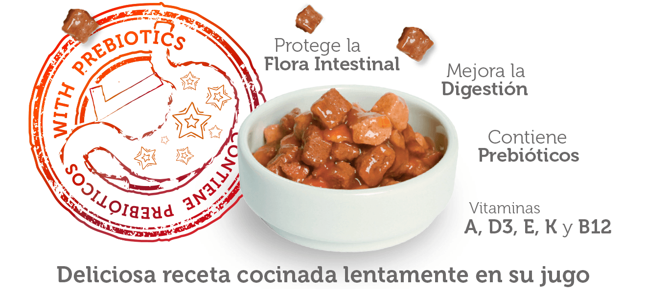 Pouch Beneficios